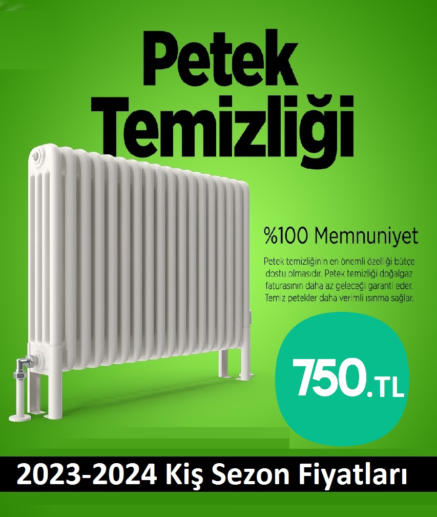 Adapazari Petek temizleme